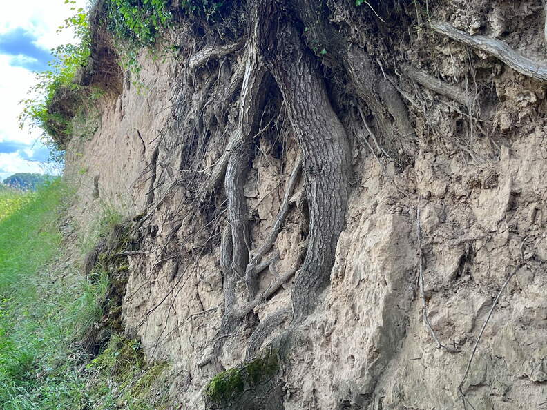 22-06-06 11-36-45 1061